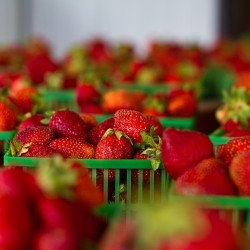 blog5